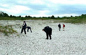Die Teilnehmer schwrmen aus, um im Steinbruch an der A395 die ersten Fossilien zu finden.